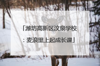 潍坊高新区汶泉学校：麦浪里上起成长课