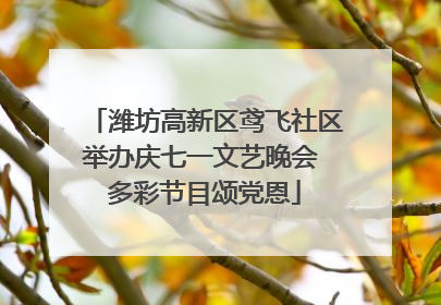 潍坊高新区鸢飞社区举办庆七一文艺晚会 多彩节目颂党恩