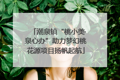 潮泉镇“桃小美·泉心办”助力梦幻桃花源项目扬帆起航