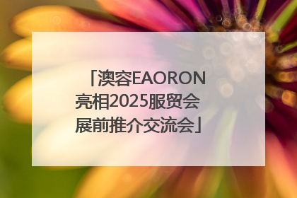 澳容EAORON亮相2025服贸会展前推介交流会