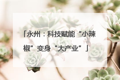 永州：科技赋能“小辣椒”变身“大产业”