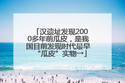 汉遗址发现2000多年前瓜皮，是我国目前发现时代最早“瓜皮”实物→