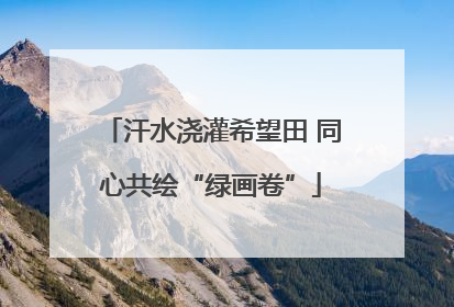 汗水浇灌希望田 同心共绘“绿画卷”