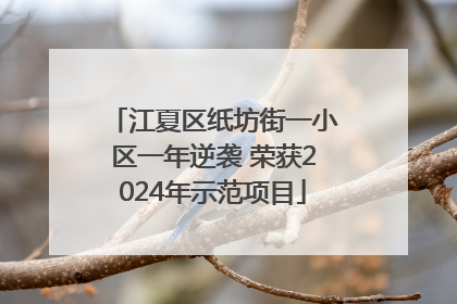 江夏区纸坊街一小区一年逆袭 荣获2024年示范项目