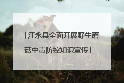 江永县全面开展野生蘑菇中毒防控知识宣传