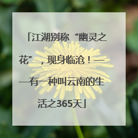 江湖别称“幽灵之花”，现身临沧！——有一种叫云南的生活之365天