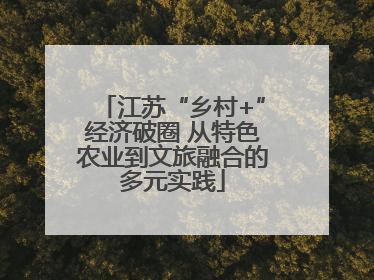 江苏“乡村+”经济破圈 从特色农业到文旅融合的多元实践