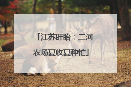 江苏盱眙:三河农场夏收夏种忙