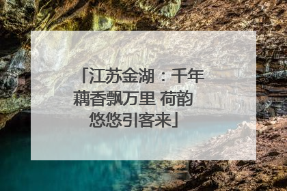 江苏金湖：千年藕香飘万里 荷韵悠悠引客来