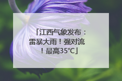 江西气象发布：雷暴大雨！强对流！最高35℃