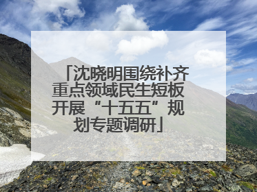 沈晓明围绕补齐重点领域民生短板开展“十五五”规划专题调研