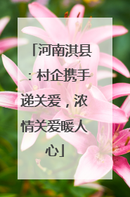 河南淇县：村企携手递关爱，浓情关爱暖人心