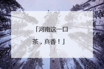 河南这一口茶，真香！