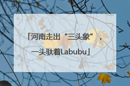 河南走出“三头象”，一头驮着Labubu