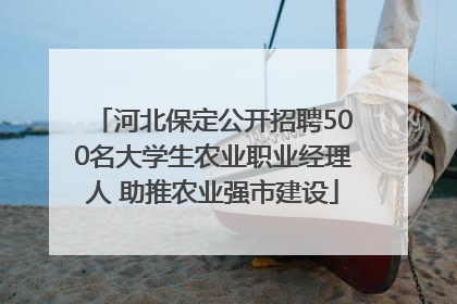 河北保定公开招聘500名大学生农业职业经理人 助推农业强市建设