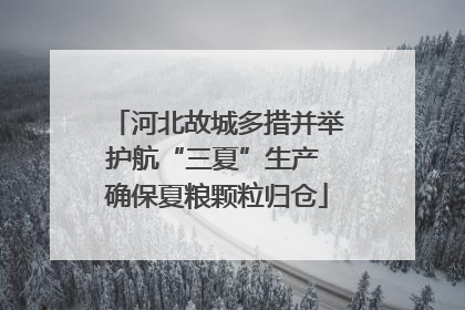 河北故城多措并举护航“三夏”生产 确保夏粮颗粒归仓