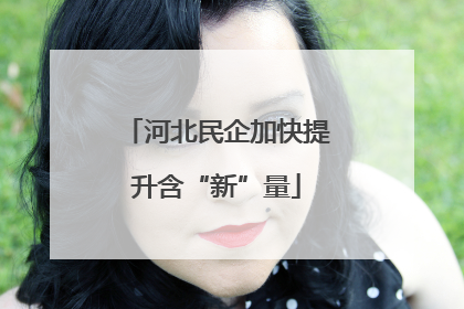 河北民企加快提升含“新”量