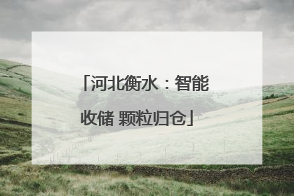 河北衡水：智能收储 颗粒归仓