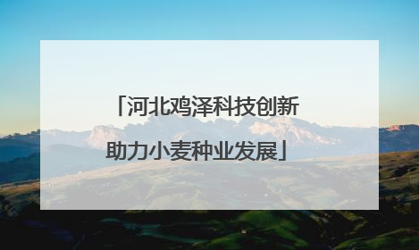 河北鸡泽科技创新助力小麦种业发展