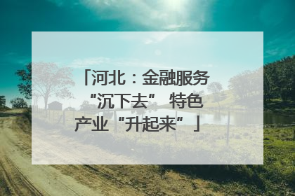 河北：金融服务“沉下去” 特色产业“升起来”