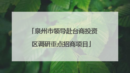 泉州市领导赴台商投资区调研重点招商项目