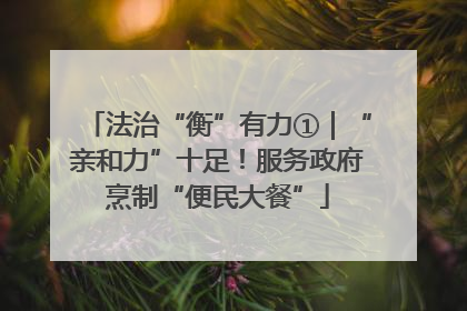 法治“衡”有力①｜“亲和力”十足！服务政府烹制“便民大餐”