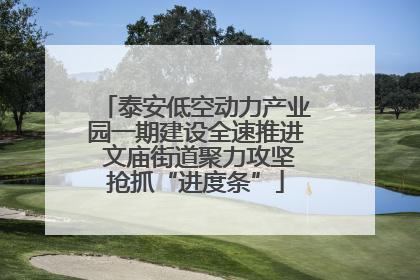 泰安低空动力产业园一期建设全速推进 文庙街道聚力攻坚抢抓“进度条”