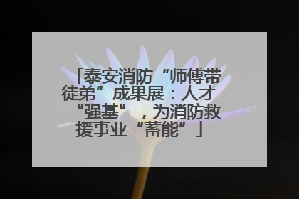 泰安消防“师傅带徒弟”成果展：人才“强基”，为消防救援事业“蓄能”