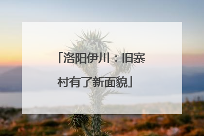 洛阳伊川：旧寨村有了新面貌