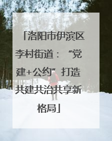 洛阳市伊滨区李村街道：“党建+公约”打造共建共治共享新格局