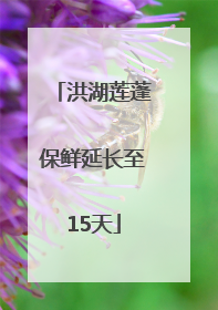 洪湖莲蓬保鲜延长至15天