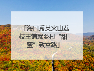 海口秀英火山荔枝王铺就乡村“甜蜜”致富路