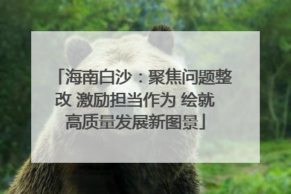海南白沙：聚焦问题整改 激励担当作为 绘就高质量发展新图景