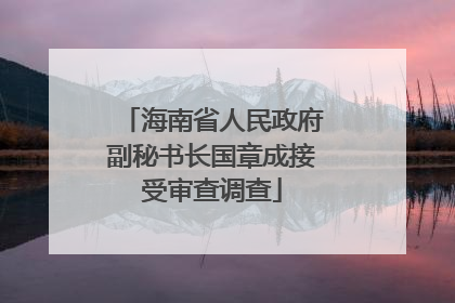 海南省人民政府副秘书长国章成接受审查调查
