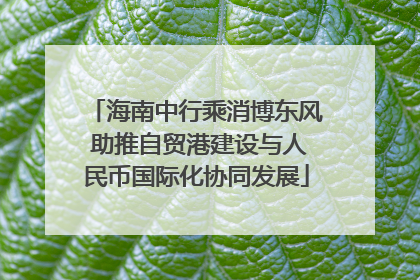 海南中行乘消博东风 助推自贸港建设与人民币国际化协同发展