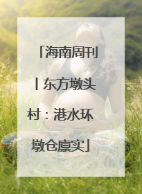 海南周刊丨东方墩头村：港水环墩仓廪实