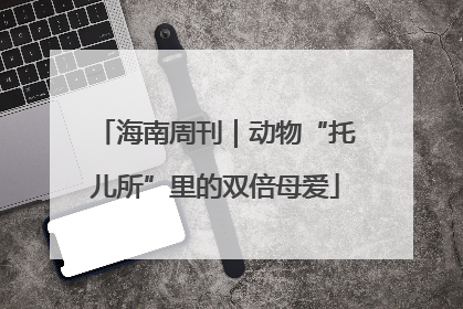 海南周刊｜动物“托儿所”里的双倍母爱