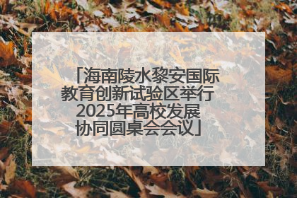 海南陵水黎安国际教育创新试验区举行2025年高校发展协同圆桌会会议