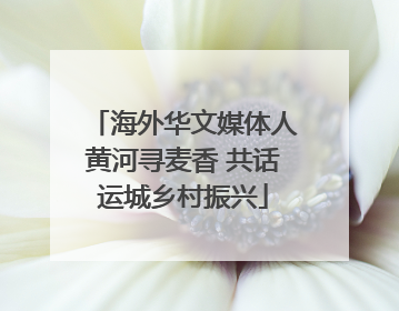 海外华文媒体人黄河寻麦香 共话运城乡村振兴