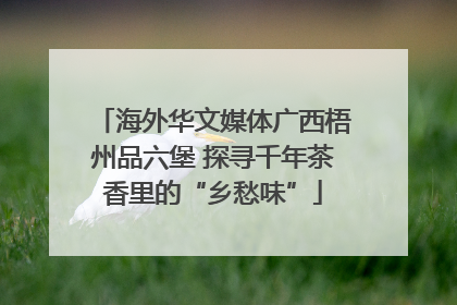 海外华文媒体广西梧州品六堡 探寻千年茶香里的“乡愁味”