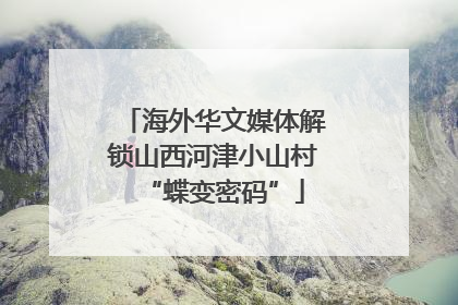 海外华文媒体解锁山西河津小山村“蝶变密码”