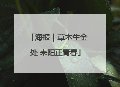 海报｜草木生金处 耒阳正青春