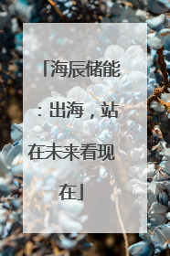海辰储能：出海，站在未来看现在