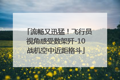 流畅又迅猛！飞行员视角感受数架歼-10战机空中近距格斗