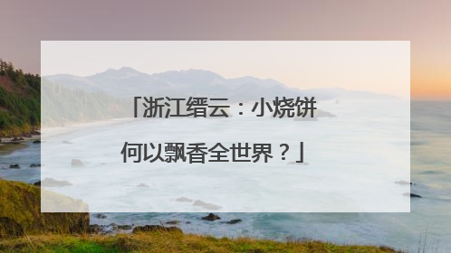 浙江缙云：小烧饼何以飘香全世界？