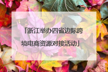浙江举办四省边际跨境电商资源对接活动