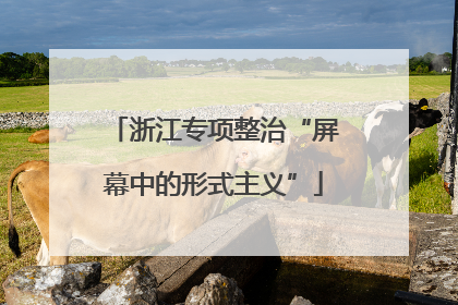 浙江专项整治“屏幕中的形式主义”