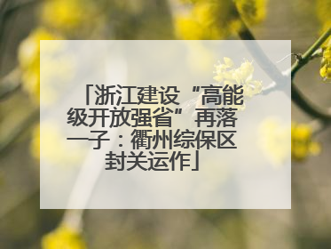 浙江建设“高能级开放强省”再落一子：衢州综保区封关运作