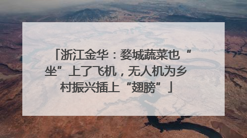 浙江金华：婺城蔬菜也“坐”上了飞机，无人机为乡村振兴插上“翅膀”