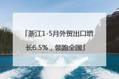 浙江1-5月外贸出口增长6.5%，领跑全国